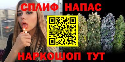 гашик Баксан